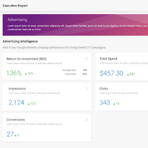Advertising intelligence dashboard displaying key metrics: Return on Investment (ROI) 136%, Total Spend $457.30, Clicks 343, Impressions 2,124, and Conversions 27, showcasing performance analytics for digital advertising campaigns.
